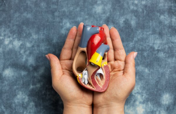 images/dmpc.jpg#joomlaImage://local-images/dmpc.jpg?width=600&height=391